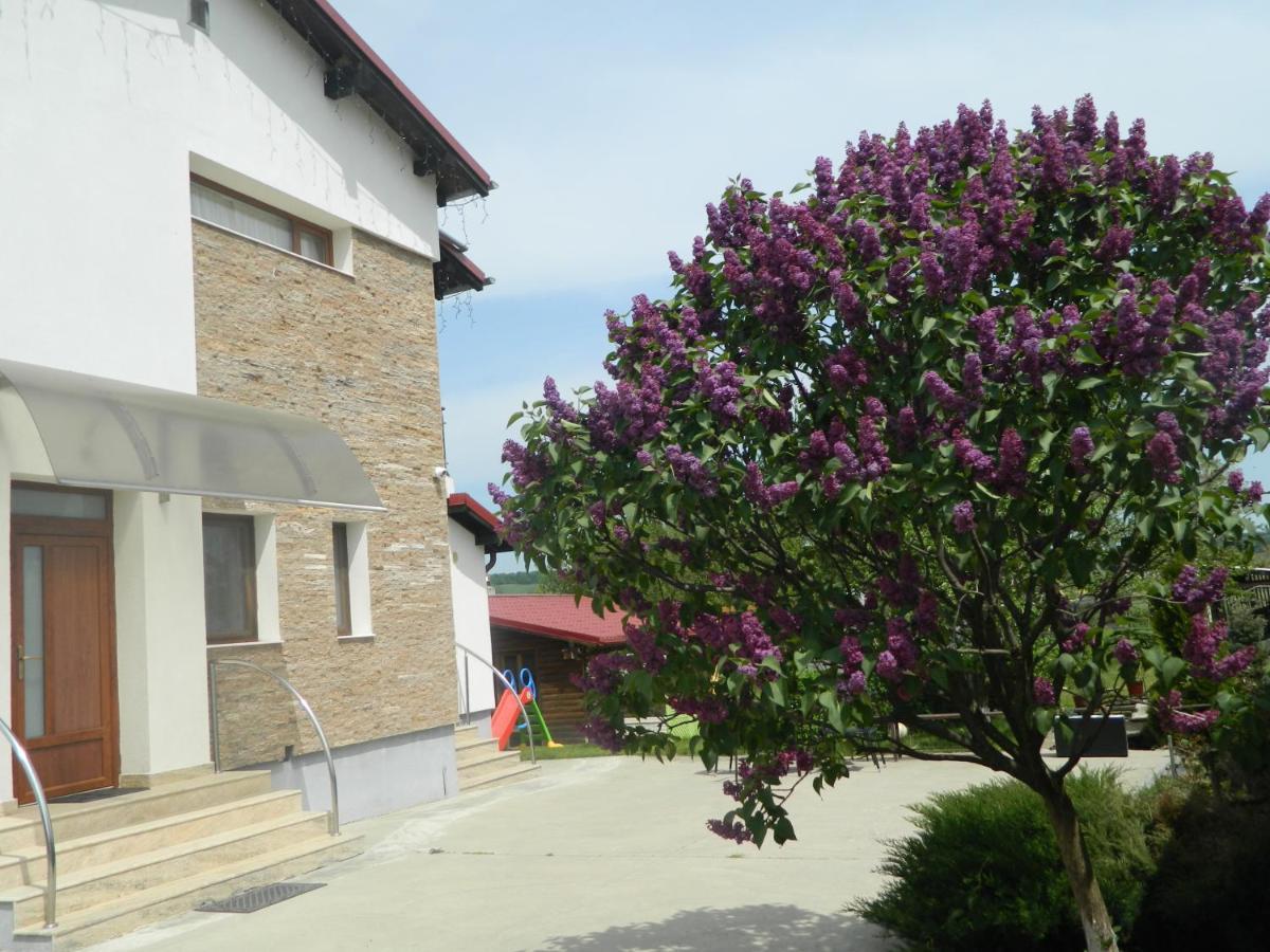 Mirana-Marginimea Sibiului Hotel คริสเตียน ภายนอก รูปภาพ